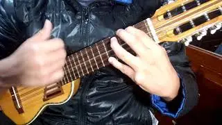 Boquita de miel Chila Jatun (cover) en charango