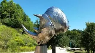 Northern White by David Landis on the Atlanta Beltline