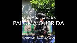 Benny Albarran - Paloma Querida
