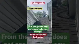 Why is roof leaking suddenly no damage visable #yt #fyp #sales #entrepreneur #roof #leaks #ytshorts