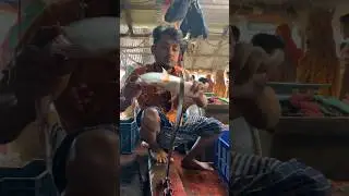 amazing pangasius fish cutting skills #shorts #fishcutting #fish_cutting_expert