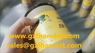 Powder Machine Packing Line for Protein ,Nutritional Powder Filling Machine,Sealing Labeling Line