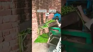 #english #vocabulary # English #knowledge #vocabulary builder hashtag how to improve English