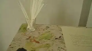violapsiche  violarancio