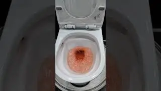 350g substance flush test , siphonic toilets #dubai #aue #sanitaryware #bathroom #faucet #toilet