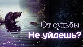 Договор с судьбой — можно ли изменить судьбу? Истина, о которой молчат