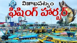 Vizag Fishing Harbour | India&rsquo;s Busiest Seafood Market 🐟 | Visakhapatnam