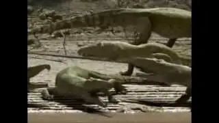 Prehistoric Crocodiles