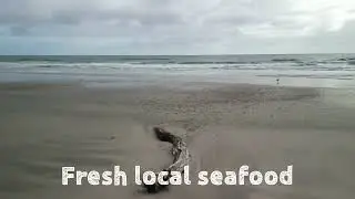 WoodGate Beach Hotel - South Burnett Drones