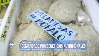 #AgroTech: La producci&oacute;n de b&uacute;falos se consolida en Misiones