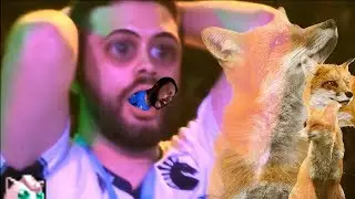 Hungrybox is Pretty Clutch, I Guess