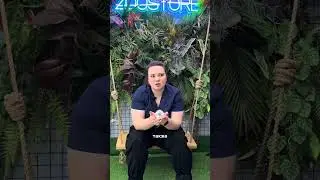 Наш тгк: Zoostore_Malinki