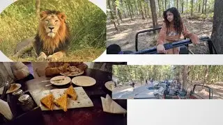 Aaj kari jungle safari | Day 3| Sonika Raghuvanshi Vlogs 