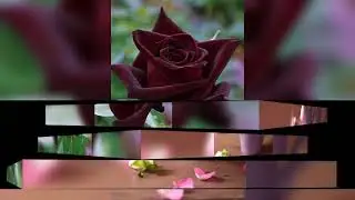 Pem sililare pem sitha ithiri,,Lassana sindu 4