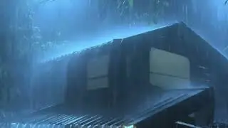 Sleep Instantly in Heavy Rain & Powerful Thunderstorm on Tin Roof in Forest at Night
