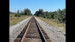Amtrak Silver MEteor Northbound Crossing In From Of Jw Corbett WMA