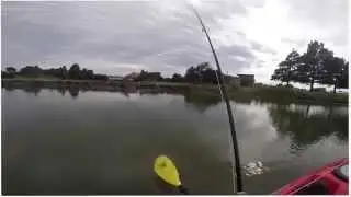 Blue Gill on 2 weight fly rod