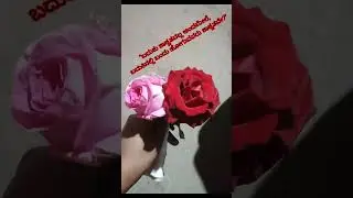 nija allva? #song #infinity edge stories #youtube