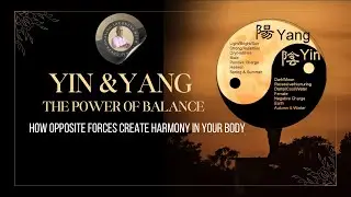 Yin & Yang Explained | The Foundation of Balance in TCM #pankajguptatcmthinker
