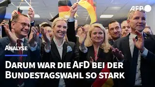 Analyse: Darum war die AfD bei der Wahl so stark | AFP
