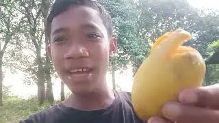 minash.vlog.as.bohot.mango.khaleya.hamlogne