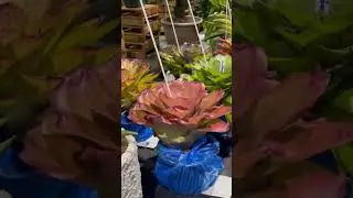 Horticulture Expo 2025