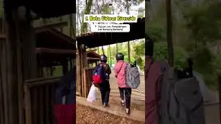 3 REKOMENDASI TEMPAT CAMPING DI PANGALENGAN