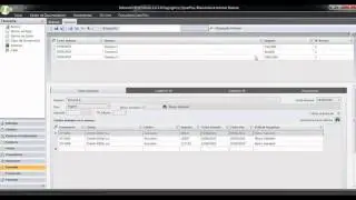 ERP Financiero - Generaci&oacute;n de remesas