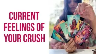 Current Feelings of Your Crush | Tarot w Shruti