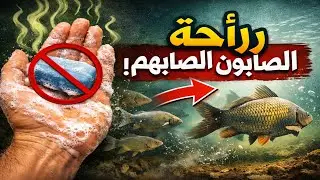غسلت يدك بالصابون قبل الصيد؟ مبروك، لقد أخفت كل السمك للتو!