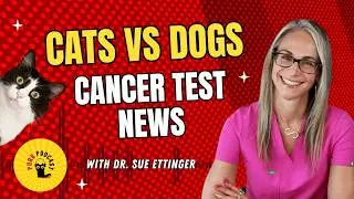 The Next Big Leap in Feline Oncology with Dr  Sue Ettinger - Purr Podcast Episode 227