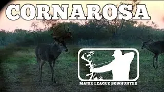 Boone and Crockett Buck at 10 yards - The Hunt for Ribcage | Major League Bowhunter