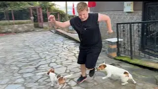 ŞORTUNU GİYİP JACKRUSSELL ÇETESİYLE SAVAŞMAYA GELDİ