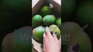 How to ripen mango at home in just 3 days
