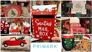 Primark Christmas Home Haul |  Decorations & Gift  Ideas 2024