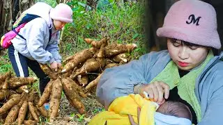 Single Mom Harvests Cassava and Wild Herbs &ndash; Making a Meal from What Nature Gives
