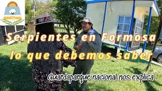 IMPORTANTISIMO‼️SERPIENTES DE FORMOSA, LO QUE DEBEMOS SABER #viral #ofidios #serpientesvenenosas