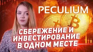 Peculium - обзор уже работающего проекта! Пост-разбор ICO!!!