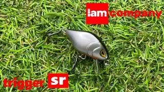 Обзор воблера Iam Master Trigger SR по заказу Fmagazin