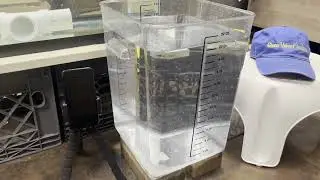 Flow Test for 60 Gallon Breeder Aquarium Sump. B Bubblefin Bulkhead Test.