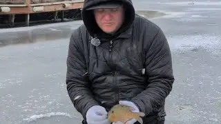 Ice Fishing Fox Chain O' Lakes Backwaters | Panfish Action with OPS eXperience