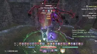ESO - Magicka Sorcerer PVE 100k DPS - Firesong