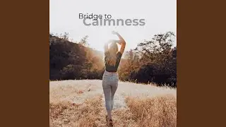 Touching Softness