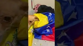 @corujoadriana28 