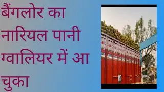 ग्वालियर mp 07 king नारियल पानी गाड़ी आ रही हैं बैगलोर नारियल पानी #coconutbeverage #500ml 