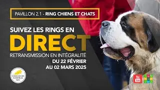 Ring Chiens et Chats 25/02/2025