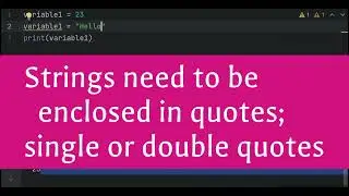 3. Storing Data: Variables.  Python Basics