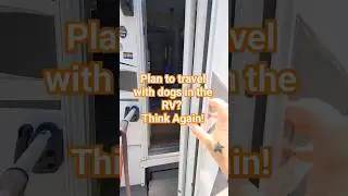Traveling with Dogs in the RV #shorts #dogcare #dogcaretips #travelingwithdogs #dogadventures