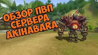 Jade Dynasty - PvP сервер Akihabara
