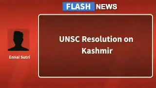 UNSC Resolution on Kashmir - Christene Reply to Pak scholar